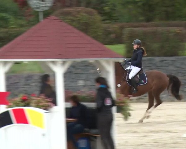 Reitturnier Frankenhof-Sonnefeld/Ofr. 2019