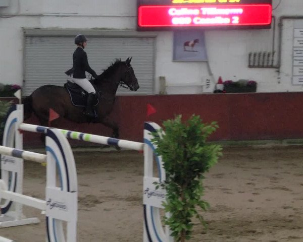 Reitturnier Neunkirchen-Furpach 2019