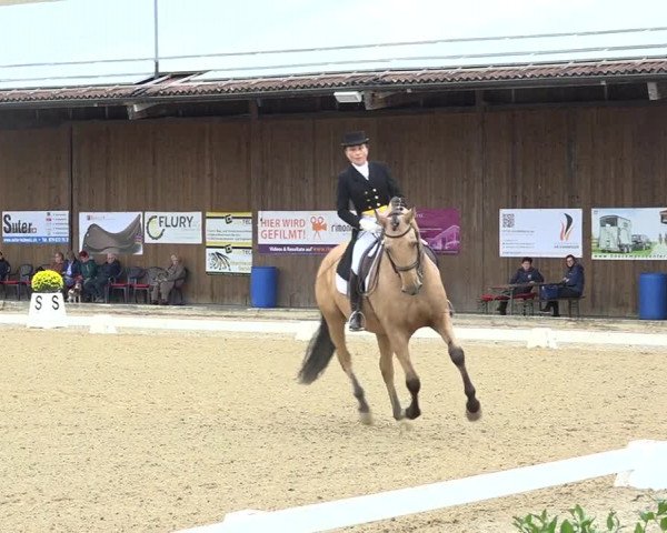 Reitturnier Deitingen 2019