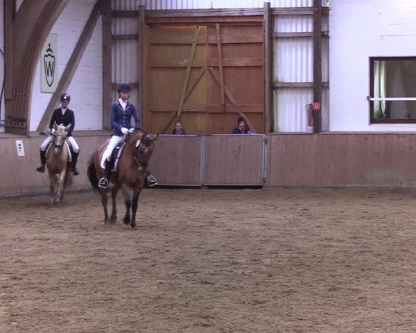 Reitturnier Kellinghusen 2019