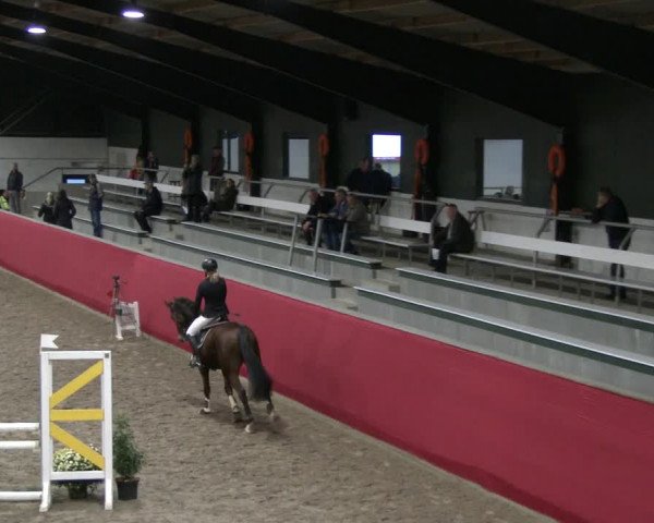 Reitturnier Salzkotten 2019