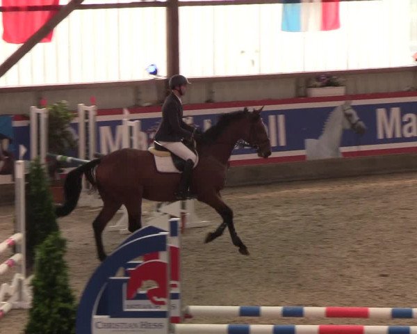 Nordic Jumping events 2019