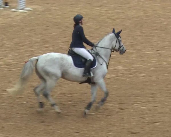 Reitturnier Kreuth/Opf. 2019