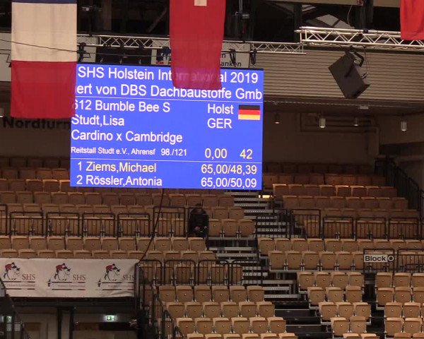 Reitturnier Neumünster 2019