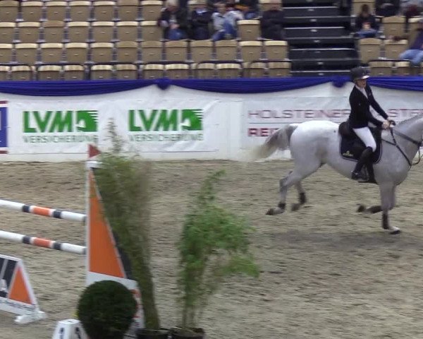 Reitturnier Neumünster 2019