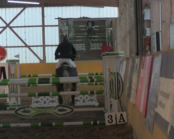Reitturnier Pausin 2019