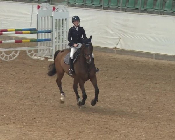 Reitturnier Kreuth/Opf. 2019
