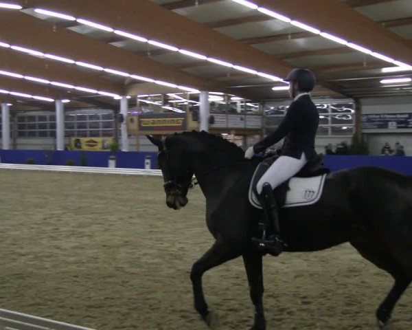 Reitturnier Isterberg 2019