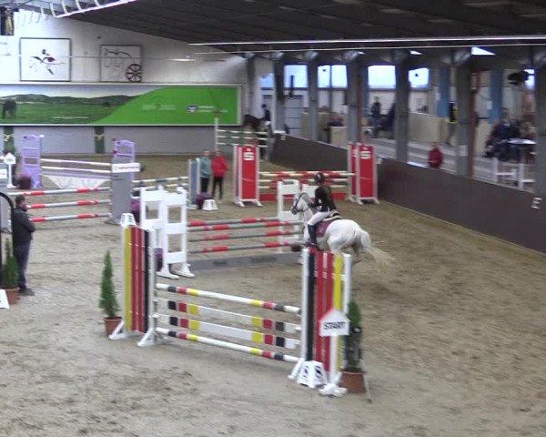 Reitturnier Legden 2019