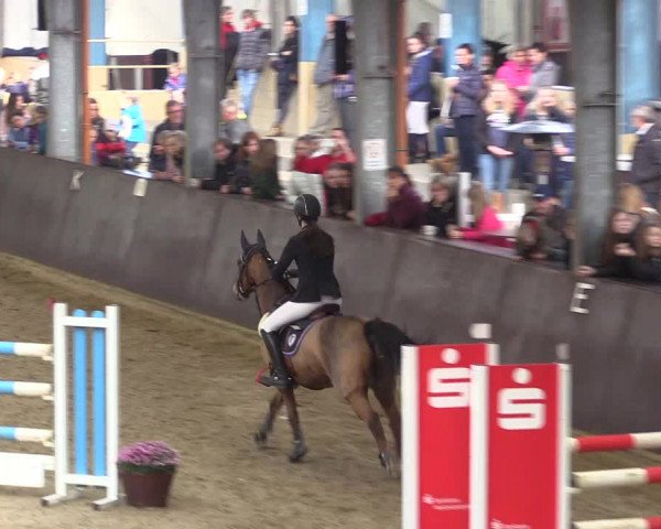 Reitturnier Legden 2019