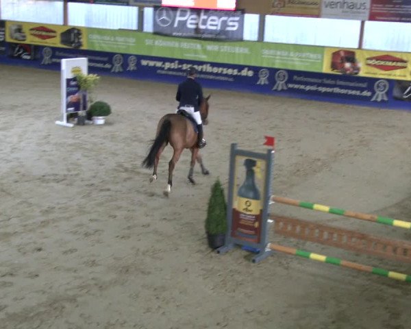 Reitturnier Isterberg 2019