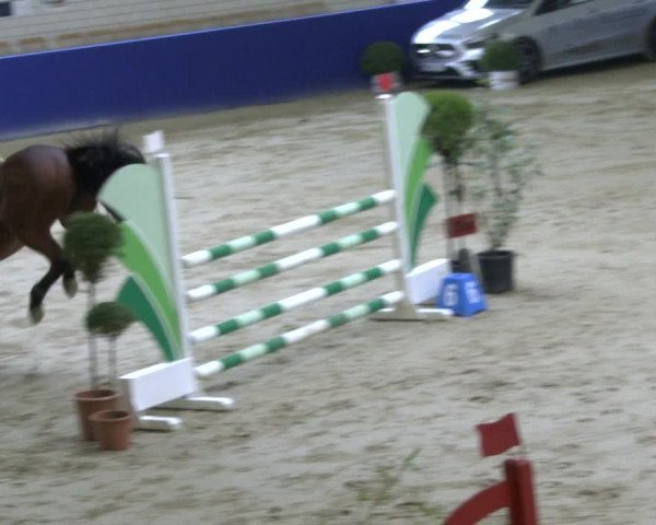 Reitturnier Isterberg 2019