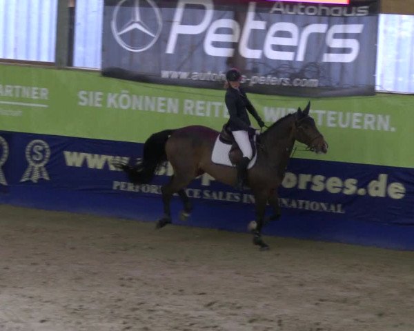 Reitturnier Isterberg 2019