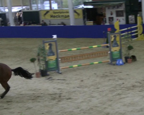 Reitturnier Isterberg 2019
