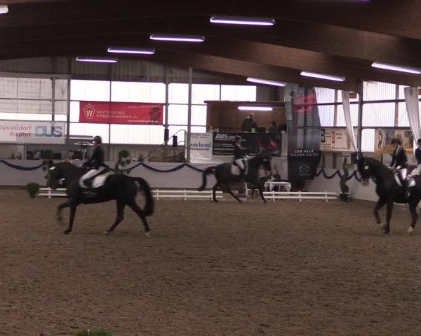 Reitturnier Rhede-Krommert 2019