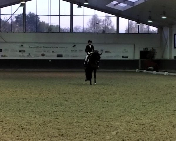 Reitturnier Mönchengladbach-Abtshof 2019