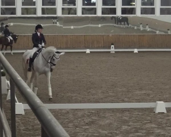 Reitturnier Freudenberg 2019