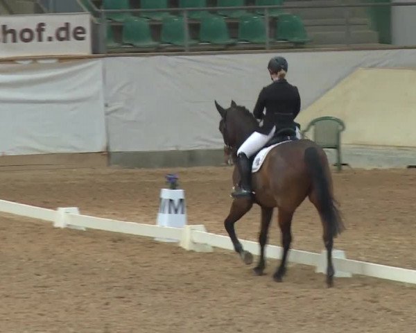 Reitturnier Kreuth/Opf. 2019