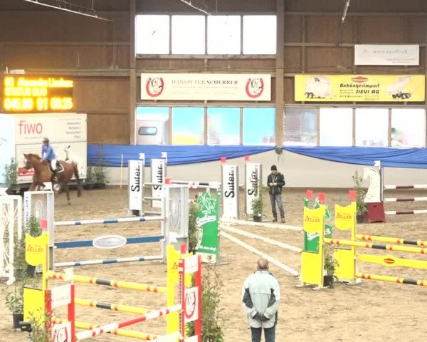 Reitturnier Sulgen 2019
