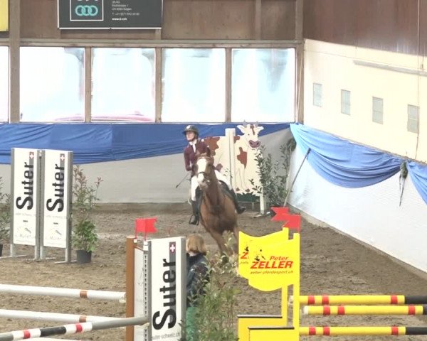 Reitturnier Sulgen 2019