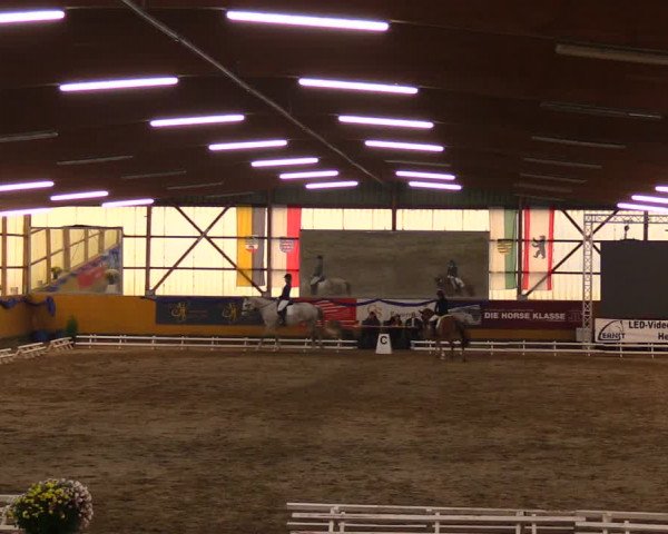 Reitturnier Pausin 2019