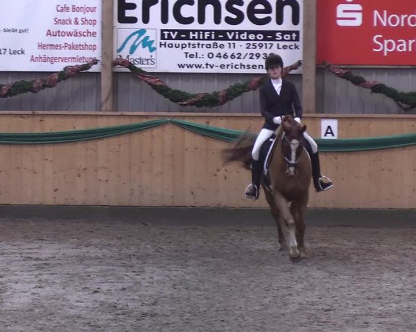 Reitturnier Leck 2019