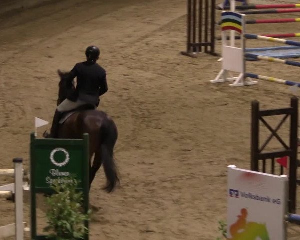 Reitturnier Oelde 2019