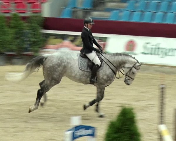Reitturnier Neustadt/Dosse 2019