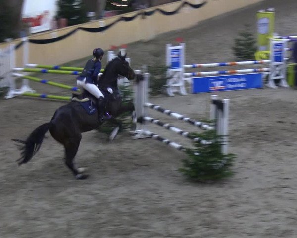 Reitturnier Leck 2019