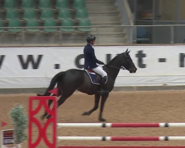 Reitturnier Kreuth/Opf. 2019