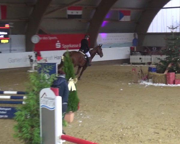Reitturnier Essen-Stadtwald 2019