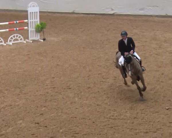 Reitturnier Kreuth/Opf. 2019