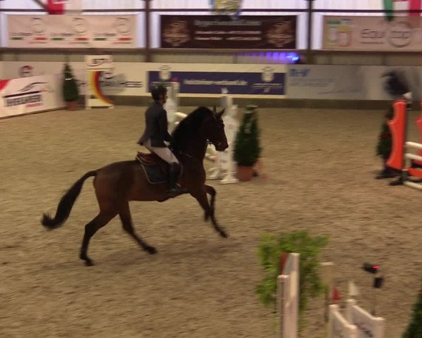 Nordic Jumping events 2019