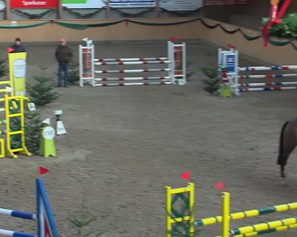 Reitturnier Leck 2019