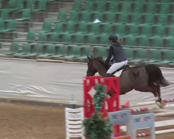 Reitturnier Kreuth/Opf. 2019