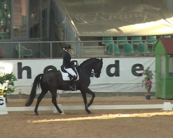 Reitturnier Kreuth/Opf. 2020