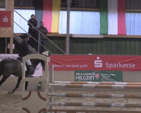 Reitturnier Velen 2020