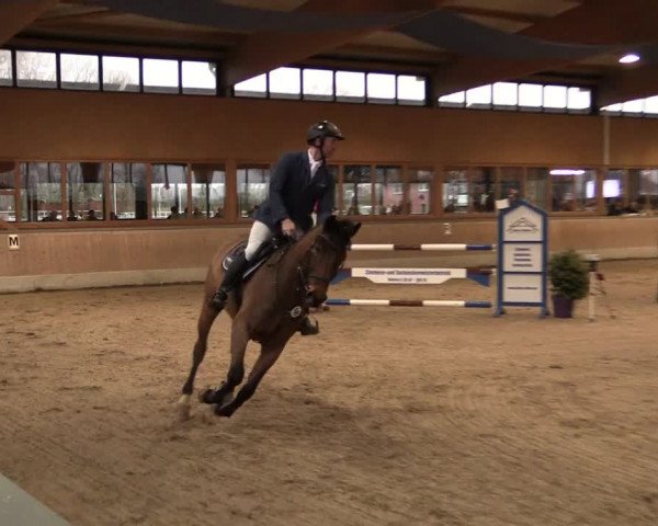 Reitturnier Heiden 2020