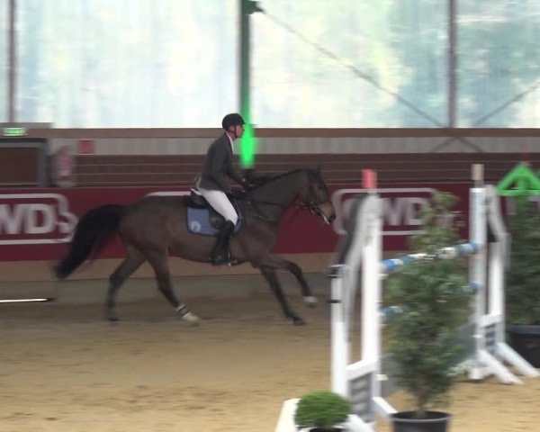 Reitturnier Kaldenkirchen - Gestüt Seehof 2020
