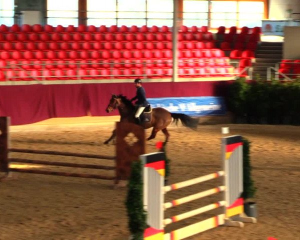 Reitturnier Neustadt/Dosse 2020