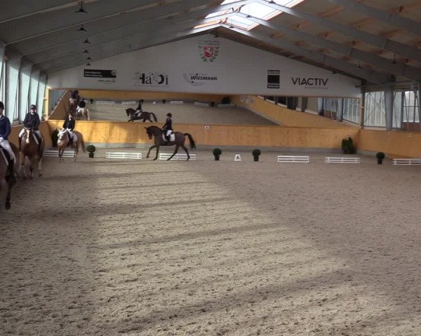 Reitturnier Münster-Amelsbüren 2020