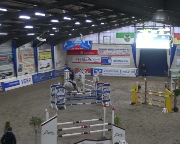 Reitturnier Lathen 2020