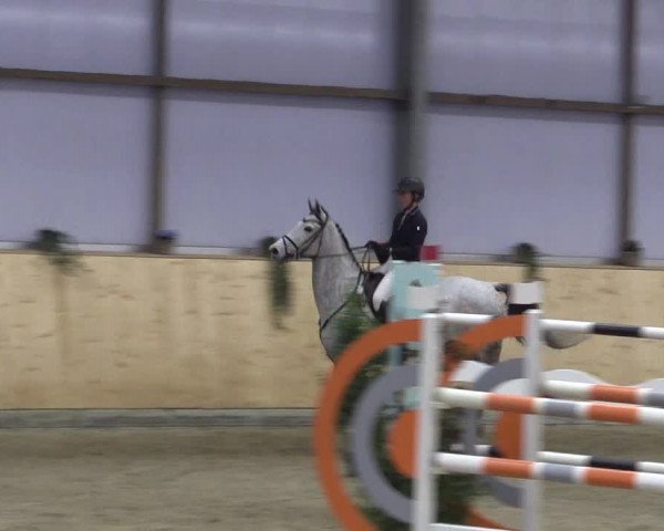 FEI Reitturnier Damme-Neuenwalde (GER) 2020
