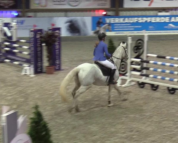 Nordic Jumping events 2020