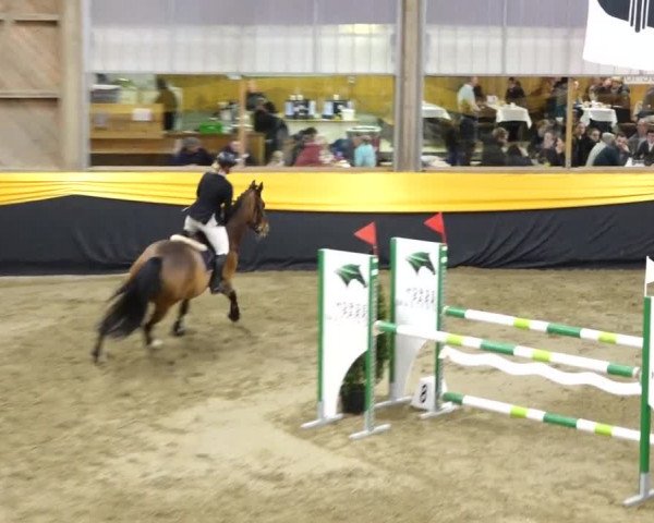Reitturnier Erlen 2020