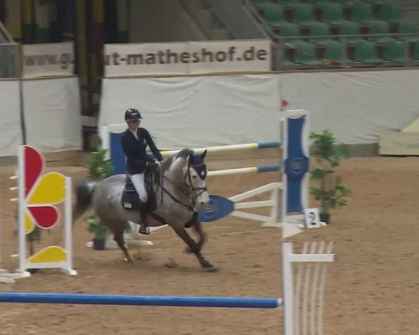 Reitturnier Kreuth/Opf. 2020