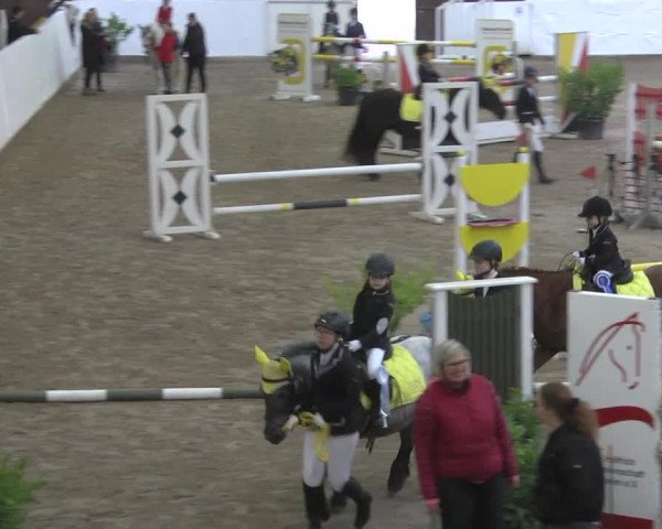 Reitturnier Viernheim 2020