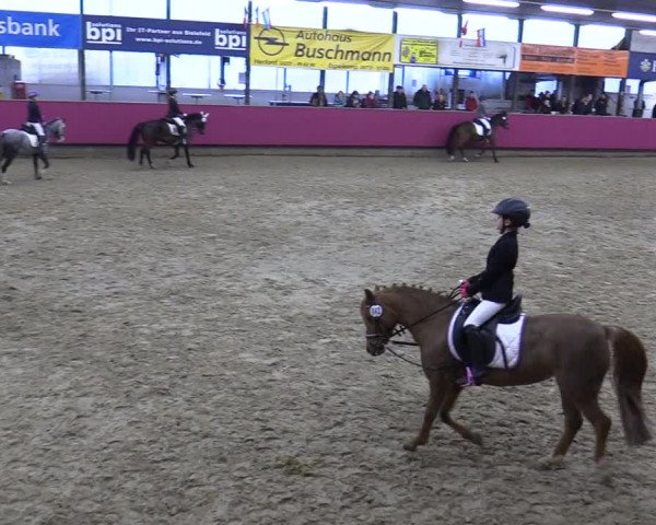 Reitturnier Vlotho-Exter 2020