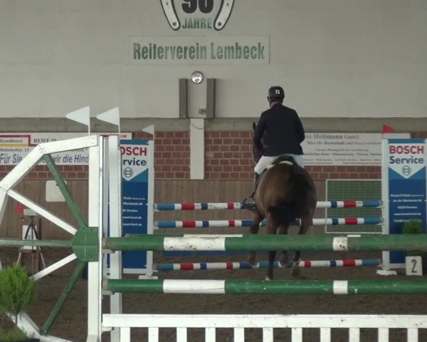Reitturnier Lembeck 2020
