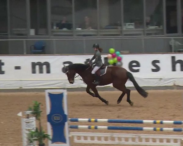 Reitturnier Kreuth/Opf. 2020